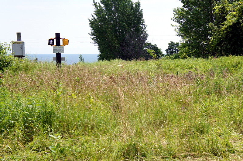 Pedestrian crossing in a field