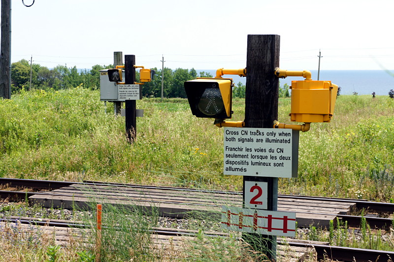 Pedestrian crossing in a field