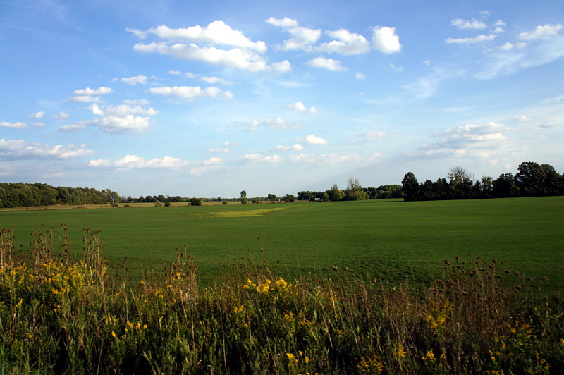 Sod farm between Guelph and Kitchener