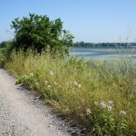 A causeway carries the Millennium Trail across Consecon Lake. Is there a bridge at the end to get me to the other side?